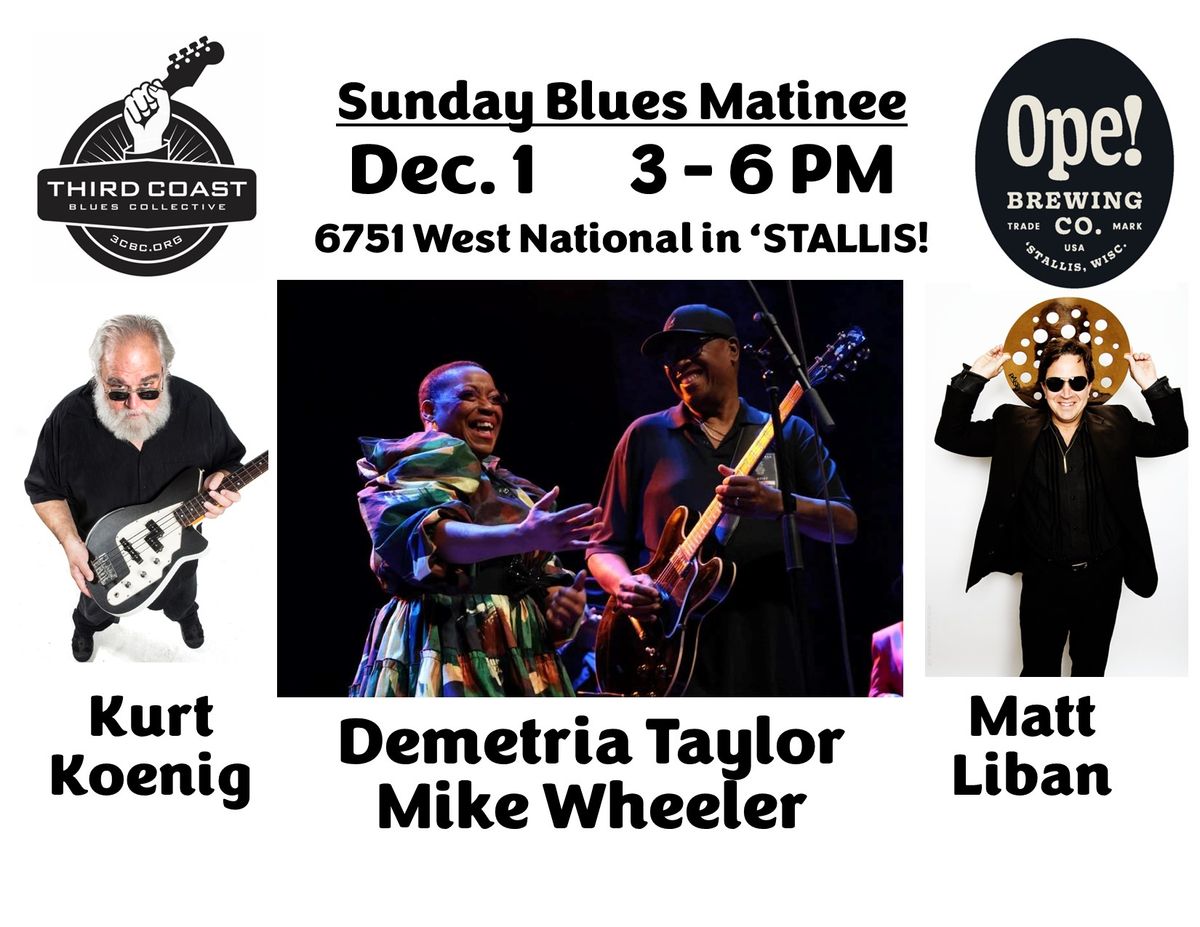 Third Coast Blues Collective - December guests Mike Wheeler and Demetria Taylor