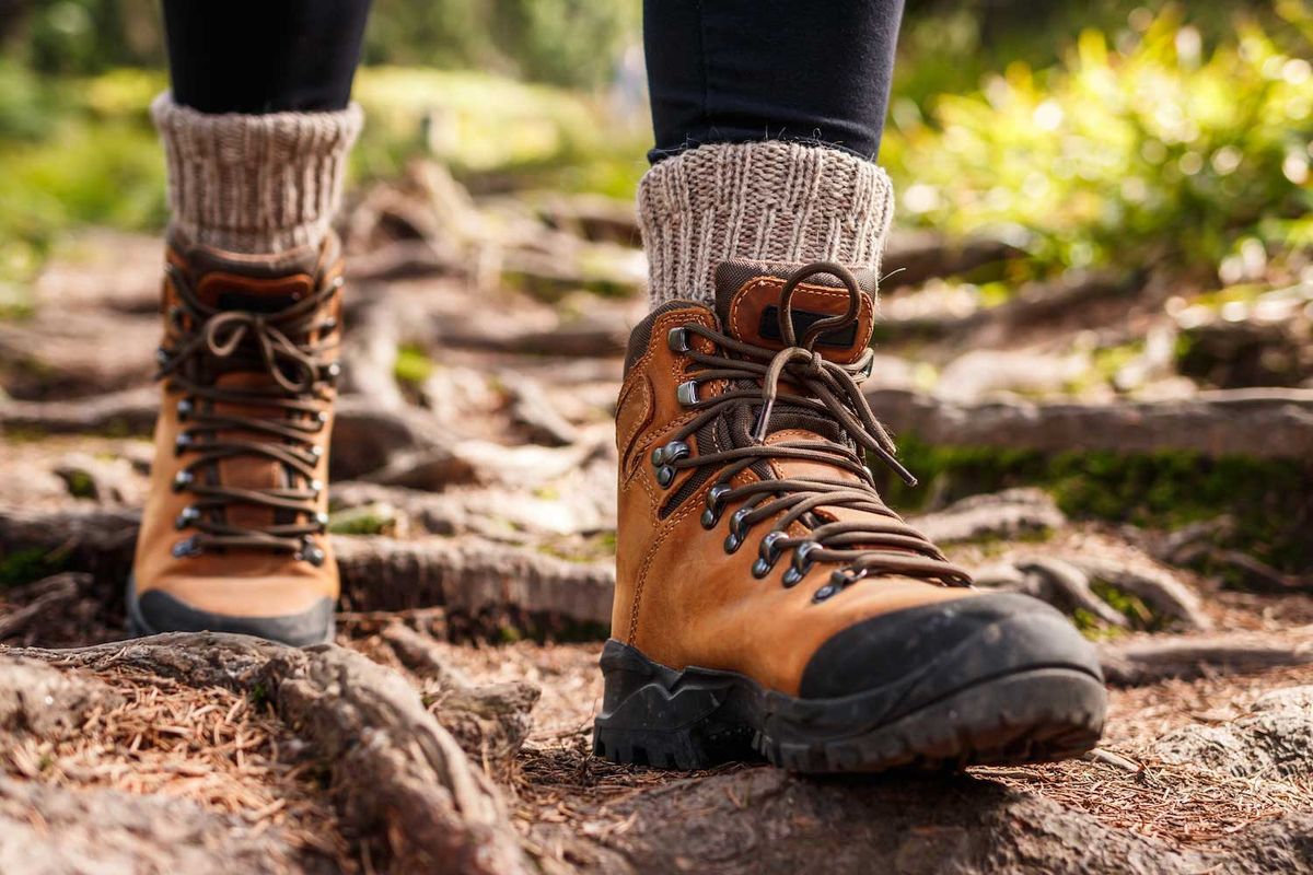 Women in the Woods Hike