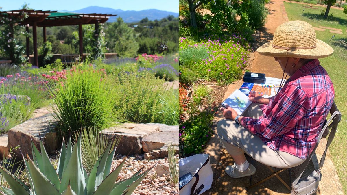 In-Person ART Class: Nature Sketching at the Santa Fe Botanical Garden