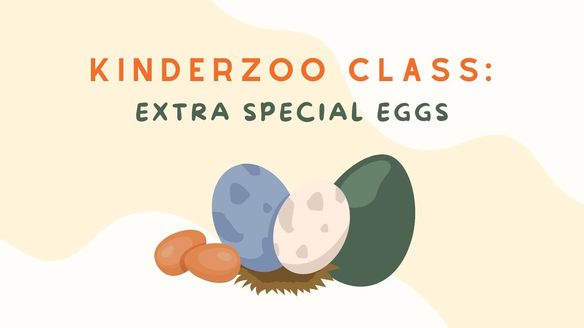 KinderZoo Class: Extra Special Eggs