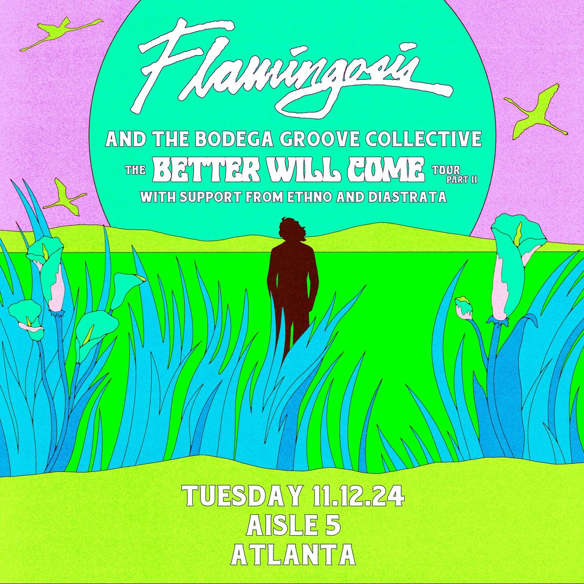 Flamingosis and the Bodega Groove Collective, Ethno, Diastrata @ Aisle 5