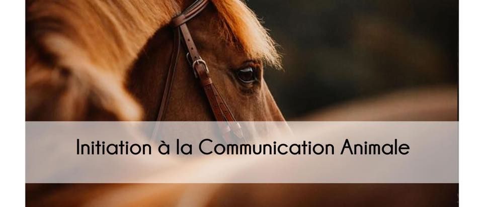 Initiation \u00e0 la communication animale