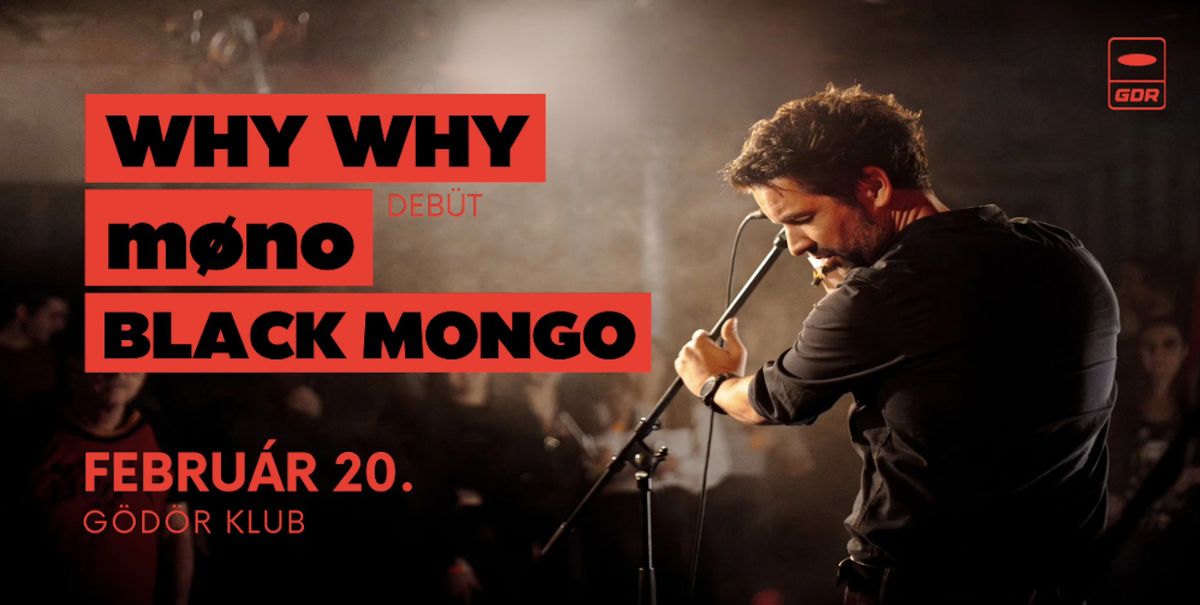 WHY WHY \/ m\u00f8no deb\u00fct \/ BLACK MONGO