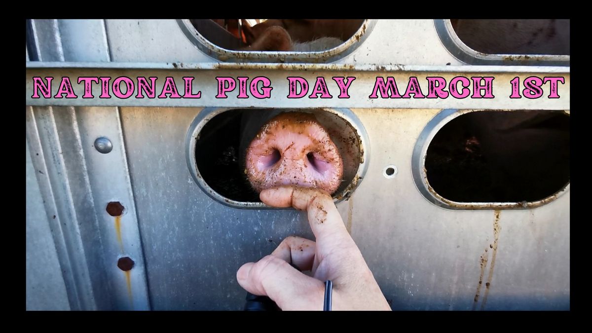 National Pig Day