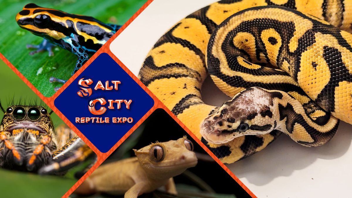 Salt City Reptile Expo - Spring 2025