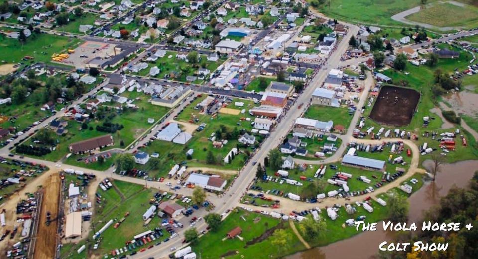 92nd Annual Viola Horse and Colt Show