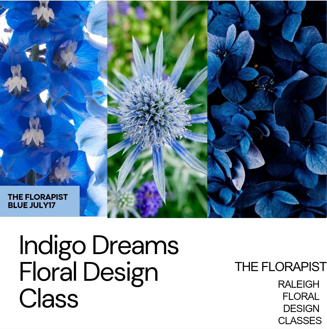 Indigo Dreams: Cool Blues &Blooms