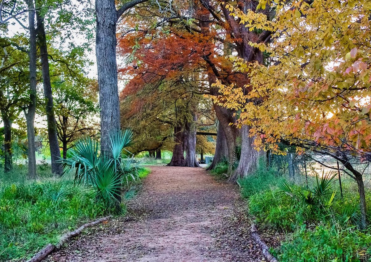 Autumn Equinox Family Fun Day