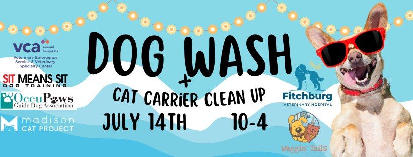 Dog Wash + Cat Carrier Clean up + Loads of Fun!