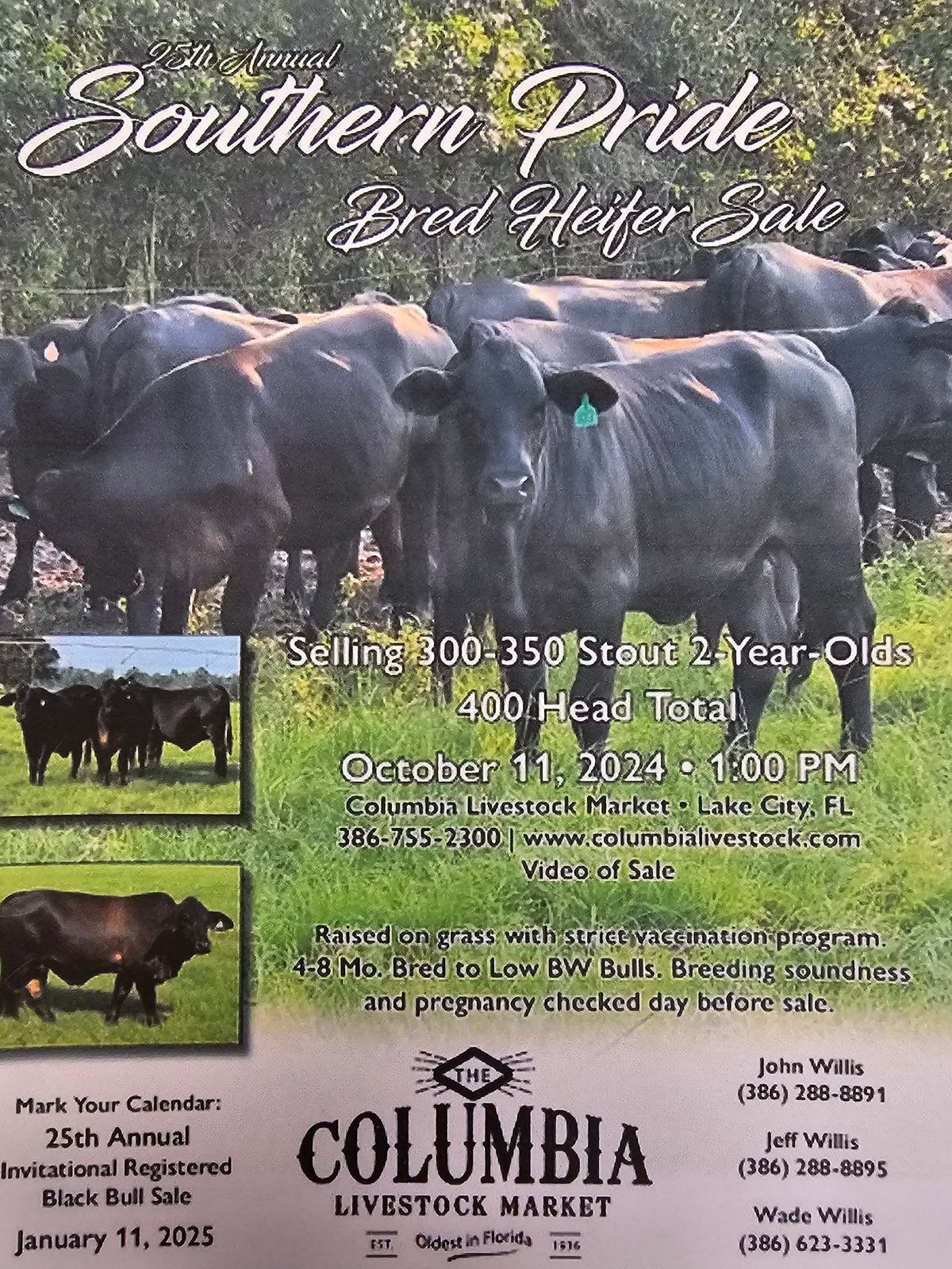 25th Annual Bred Heifer Sale