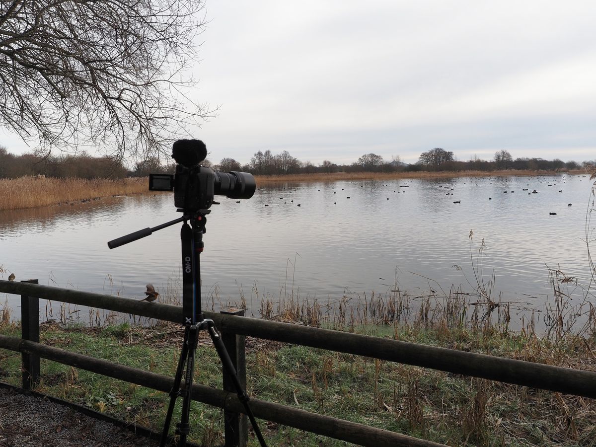  Learn to film with your DSLR\/ Mirrorless Camera - The Basics at RSPB Ham Wall