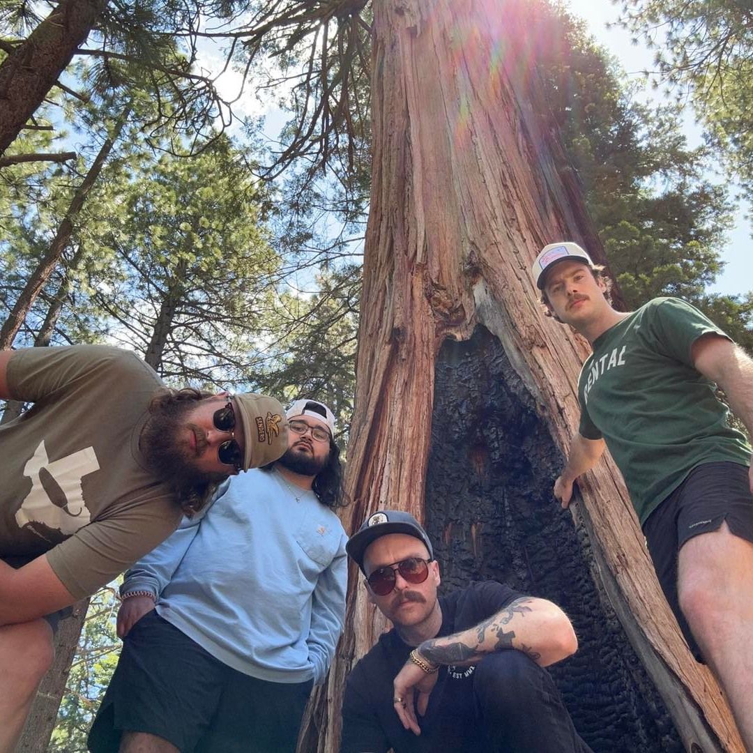 Ronnie and the Redwoods