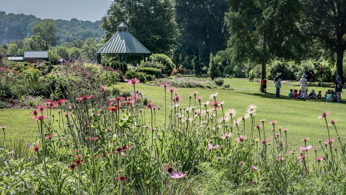 UTG & KCMG Gardening Class