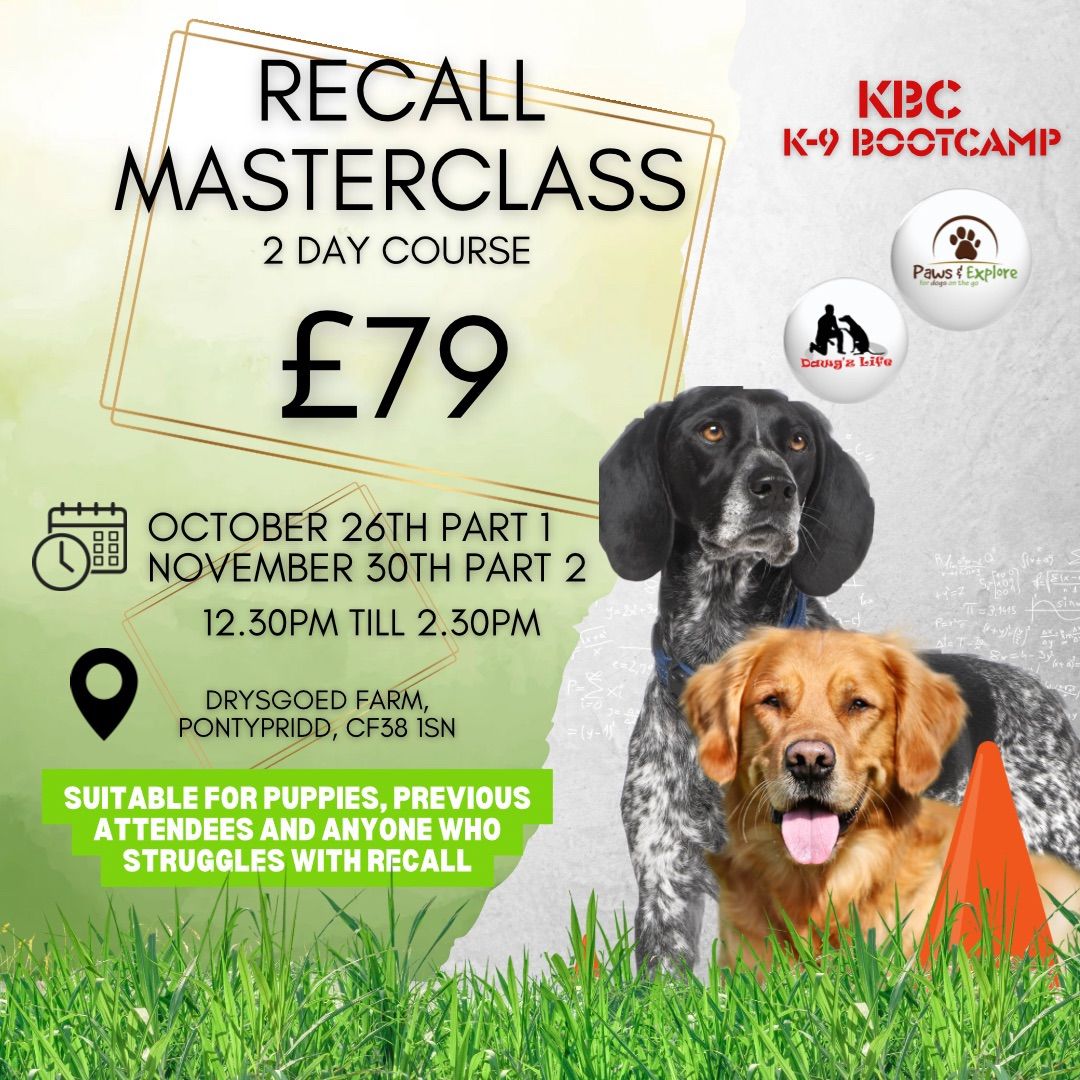 RECALL MASTER CLASS (2 Part course)