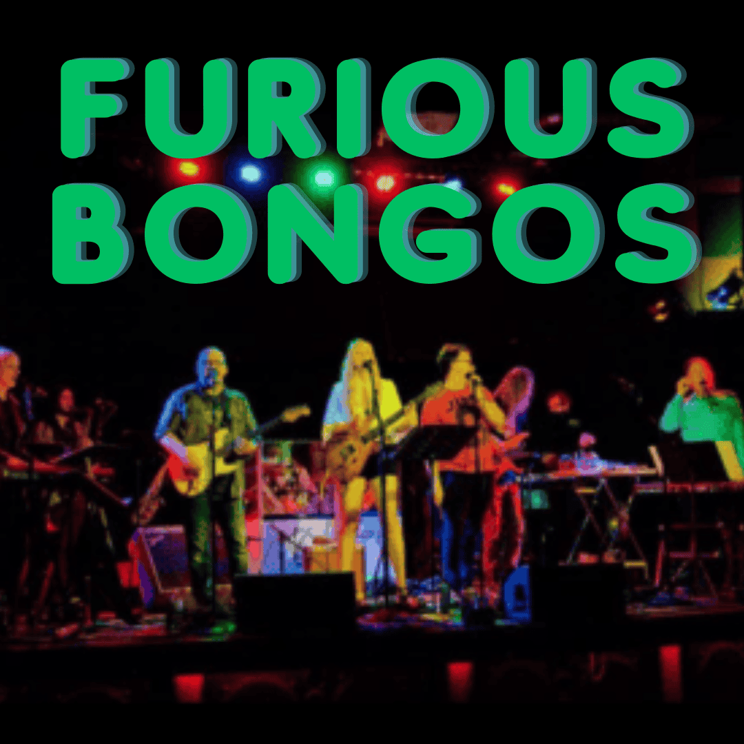 The Furious Bongos