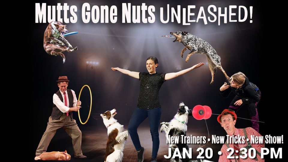 Mutts Gone Nuts Unleashed