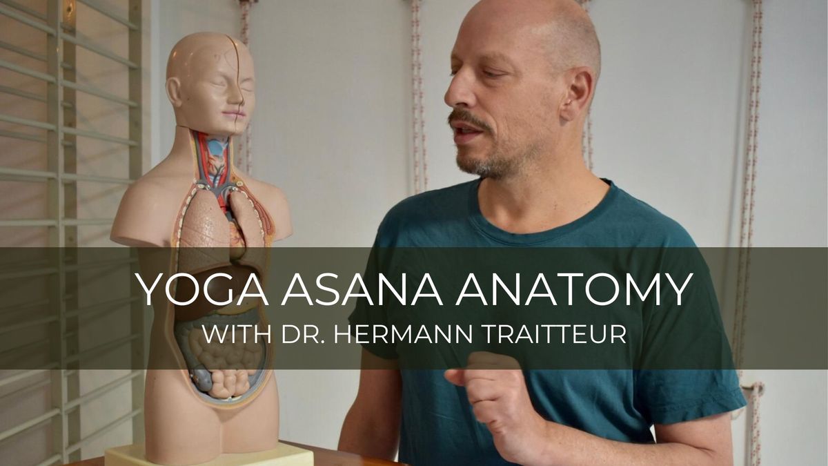 Yoga Asana Anatomy with Dr. Hermann Traitteur