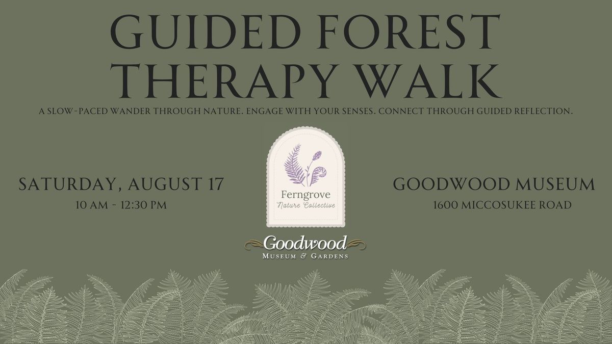 Guided Forest Therapy Walk | Ferngrove Nature Collective