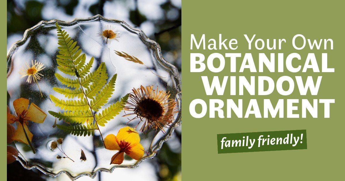 Make Your Own Botanical Window Ornament (Family Friendly!)