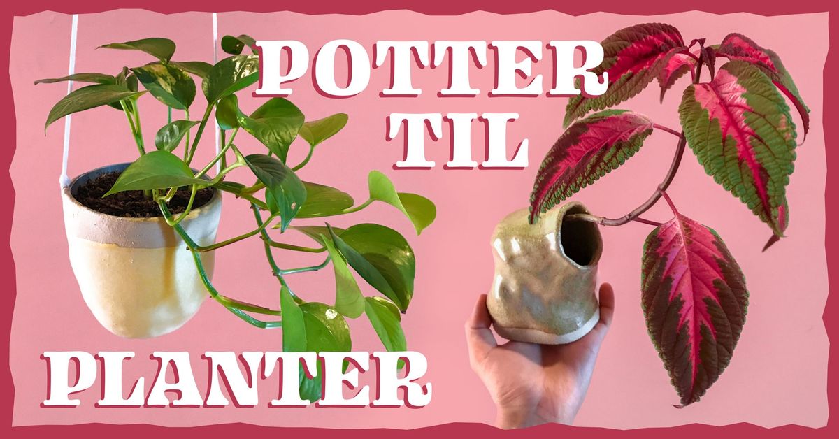 Keramik: Potter til Planter