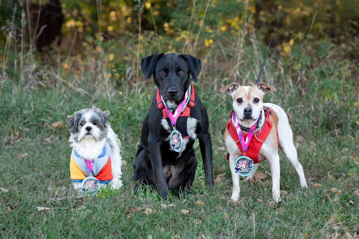 Run for Paws 5K - 2024 