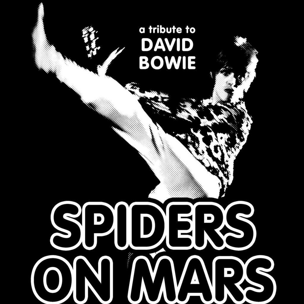 SPIDERS ON MARS Tribute to David Bowie