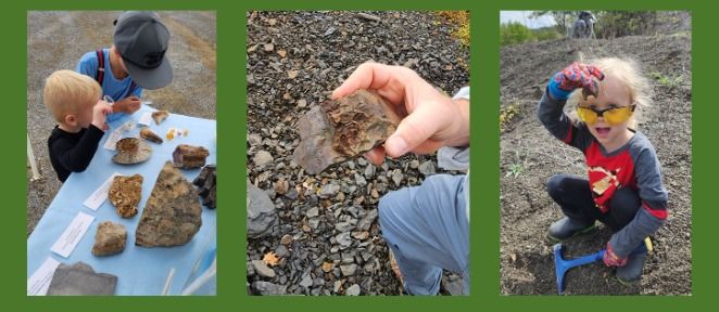 Community Fossil Dig