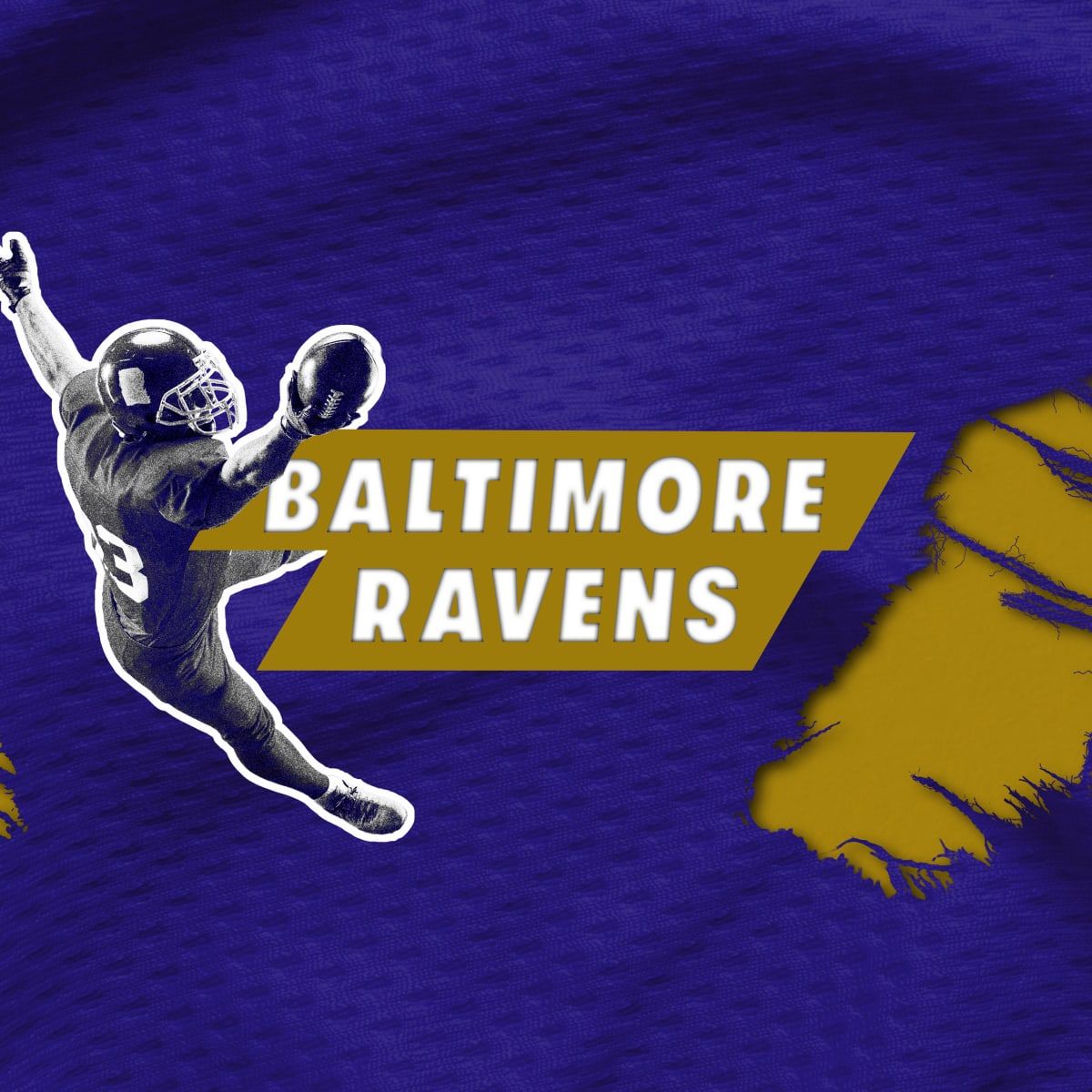 AFC Wild Card - TBD at Baltimore Ravens at M&T Bank Stadium