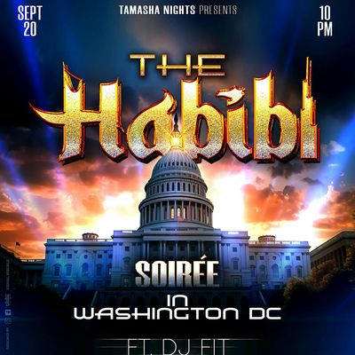 THE HABIBI SOIREE