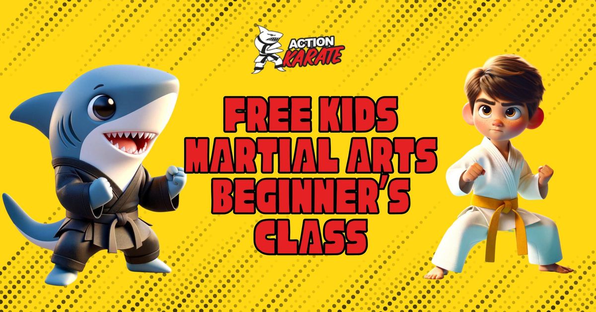 Beginners Intro to Karate Class