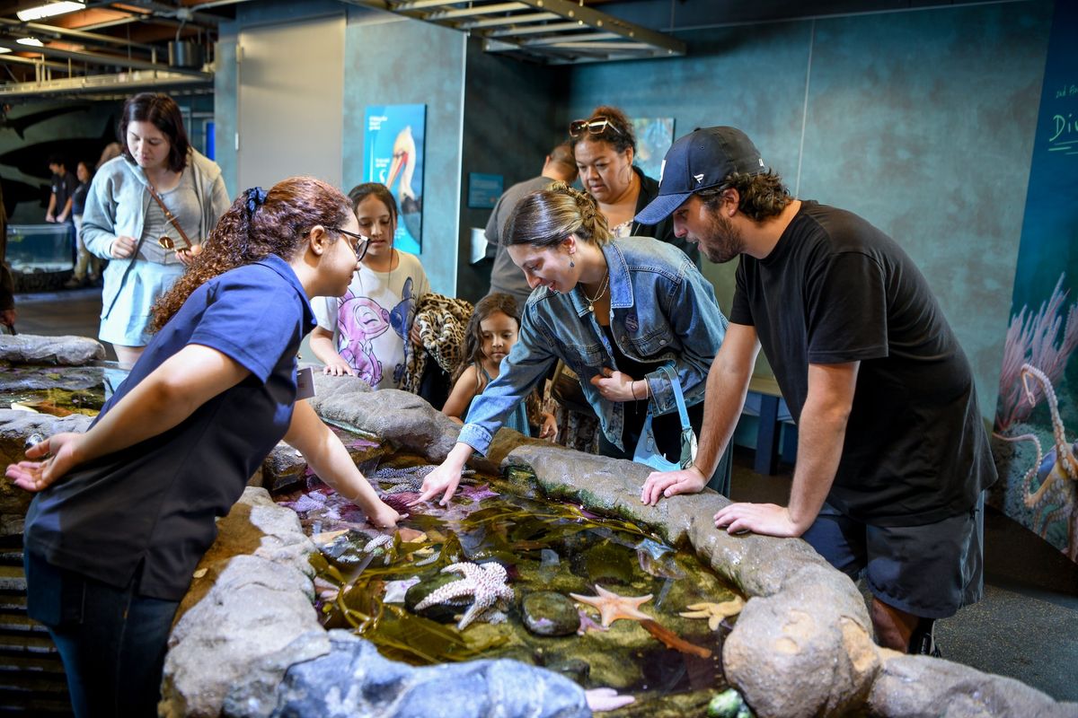 Underwater Parks Day at the Sea Center