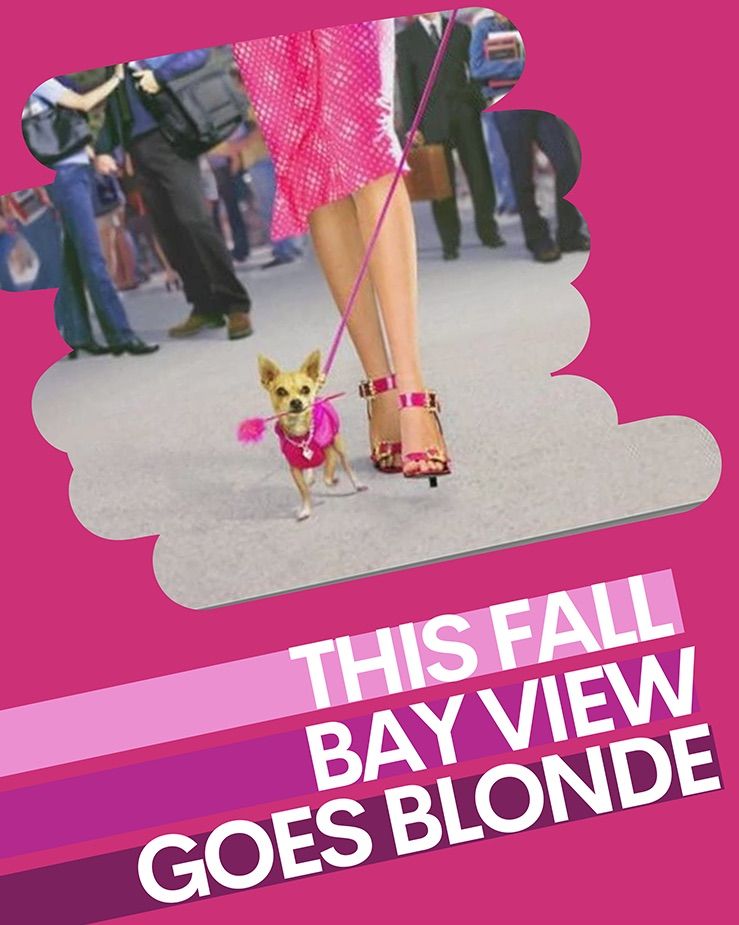 Bay View High Musical - Legally Blonde