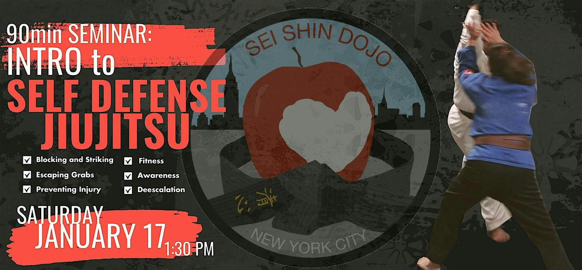 Intro to Self-Defense Jiujitsu