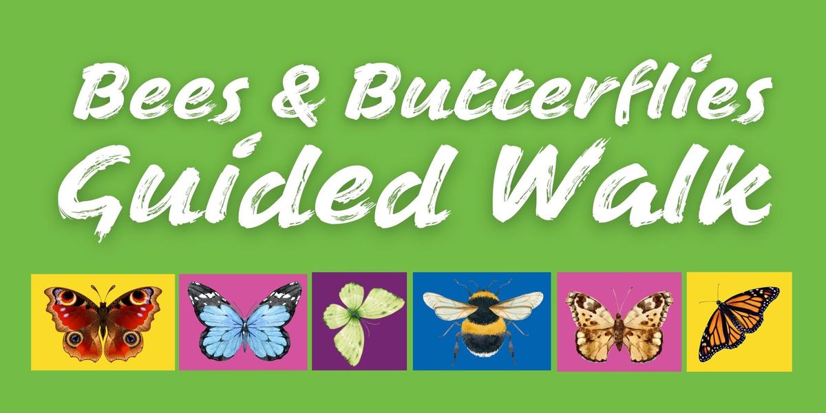 Bees and Butterflies Guided Walk