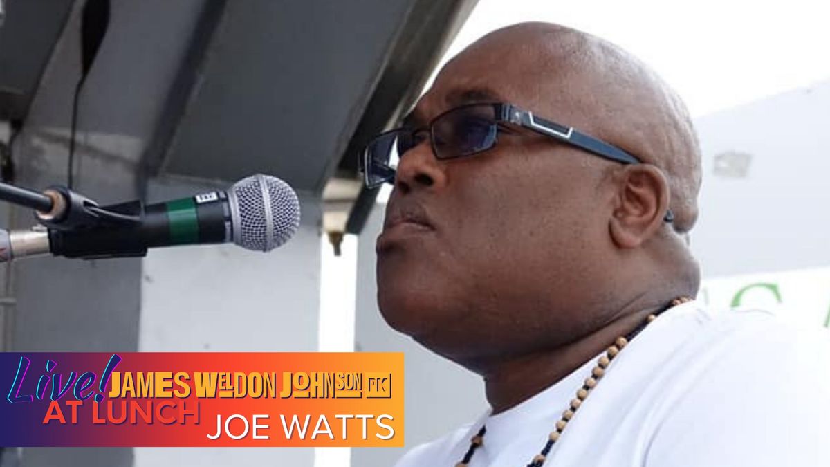 Jazz in the Park with Joe Watts