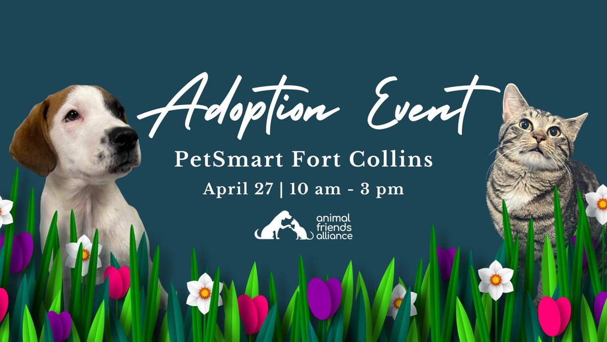 Adoption Event at PetSmart Fort Collins
