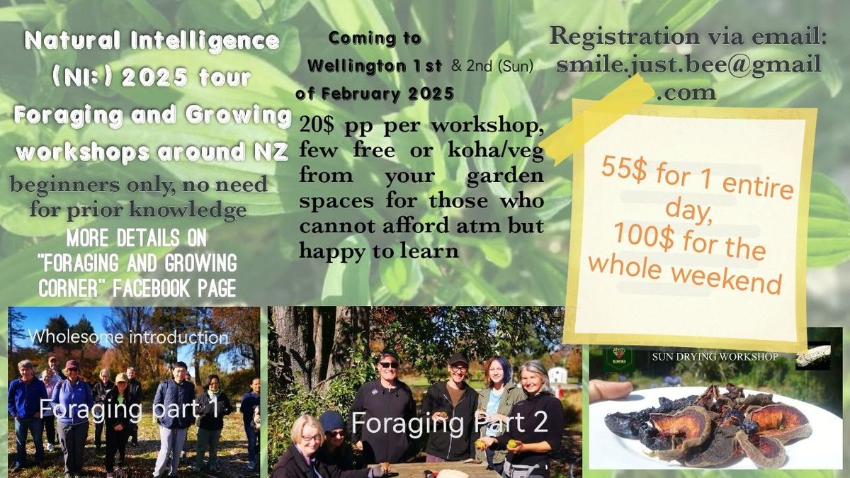 Wholesome Introduction to Foraging, Sun Drying Workshop + Potluck + day of sustainable workshops! 