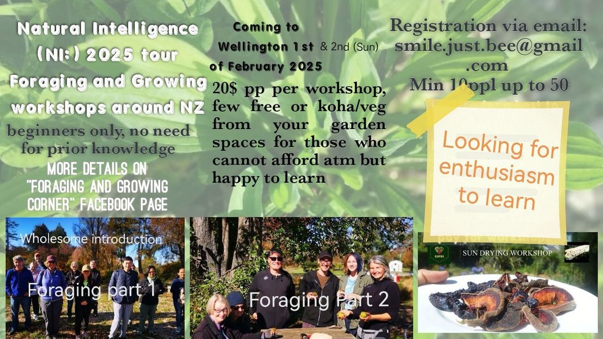 Wholesome Introduction to Foraging, Sun Drying Workshop + Potluck + day of sustainable workshops! 