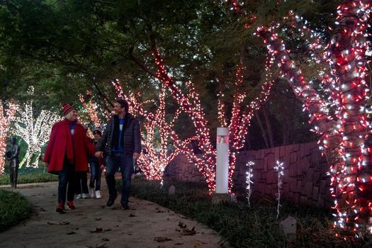 LIVE @ Winter WonderLights