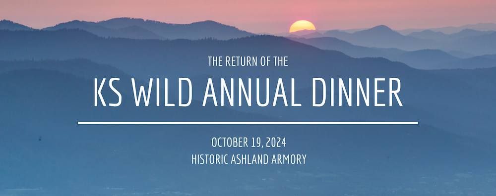 The Return of the KS Wild Annual Dinner