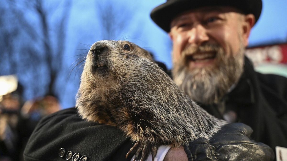 Made in our Backyard: Groundhog Day