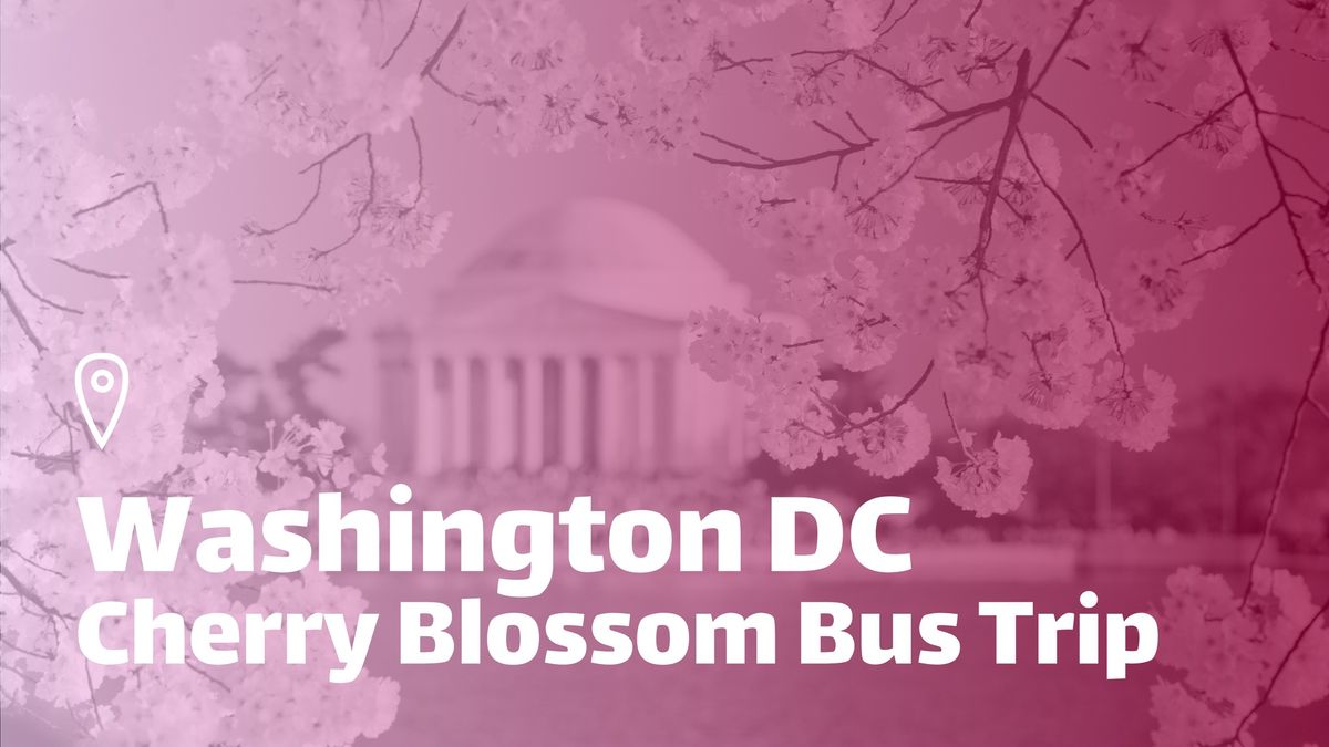 Washington DC Red-Eye Bus Trip