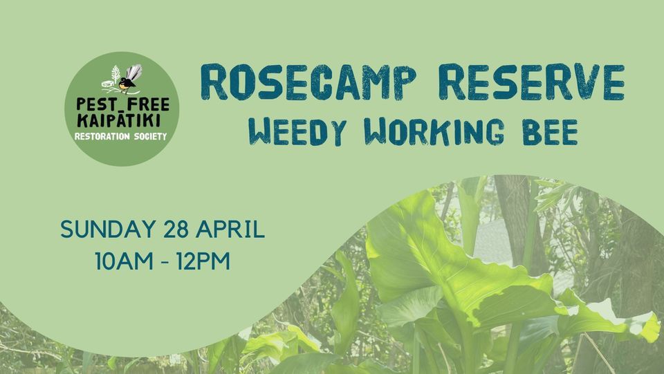 Rosecamp Reserve Weeding Bee