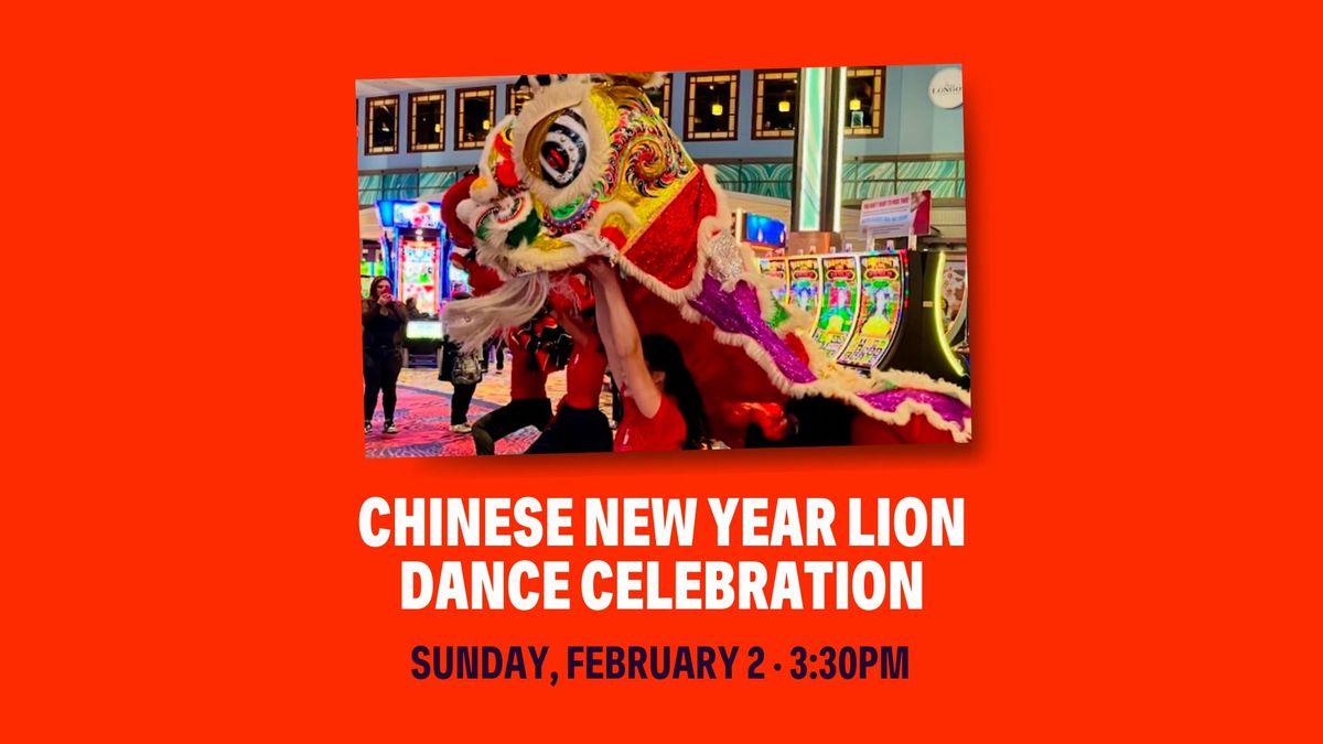 Chinese New Year Lion Dance Celebration