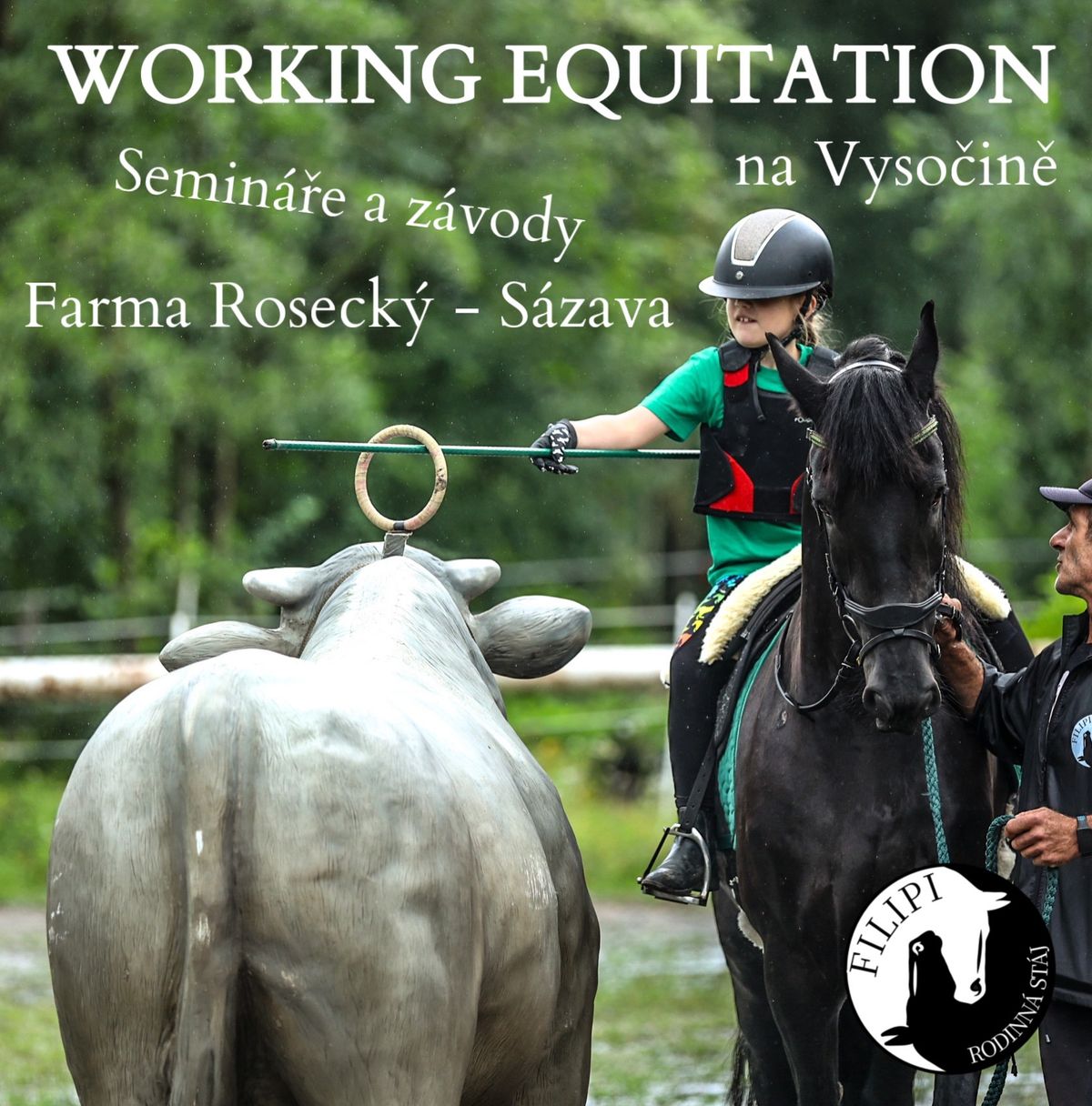 WORKING EQUITATION NA VYSO\u010cIN\u011a 