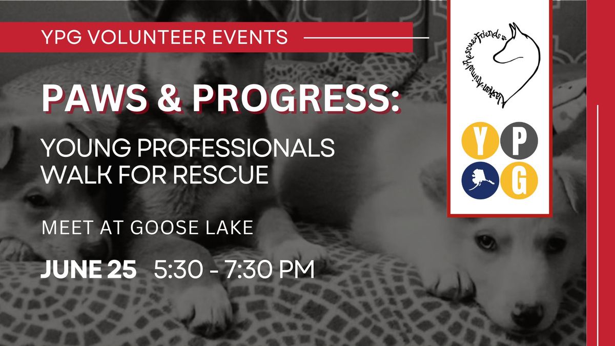 Paws & Progress: Young Professionals Walk for Rescue