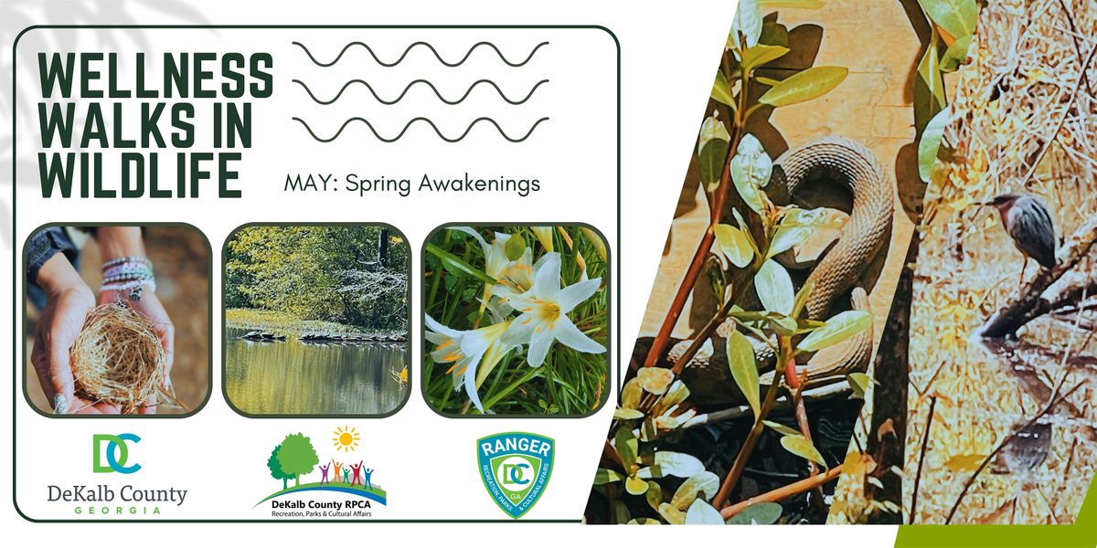 WWiW-GEP: Spring Awakenings ~The Edge of Emergence