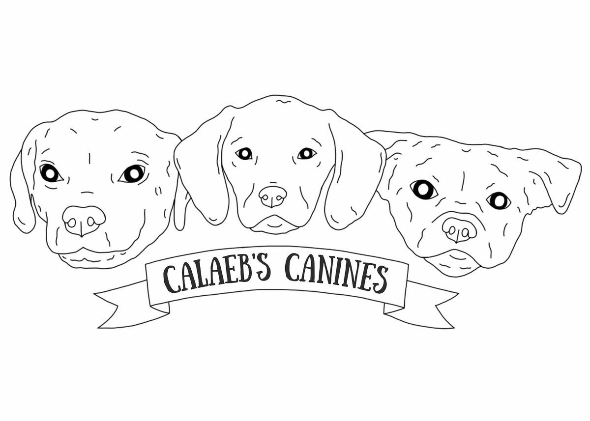 Calaeb's Canines 