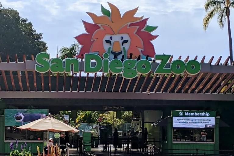 ?Zoo field trip - Let\u2019s go see the pandas!?