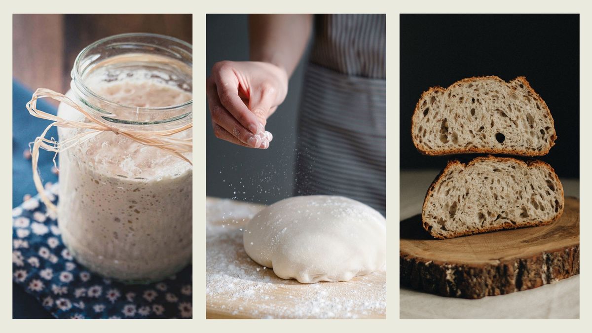 Sourdough Bread | Baking for Beginners